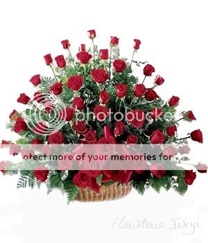 60-rosas.jpg picture by ANNYOJEDA