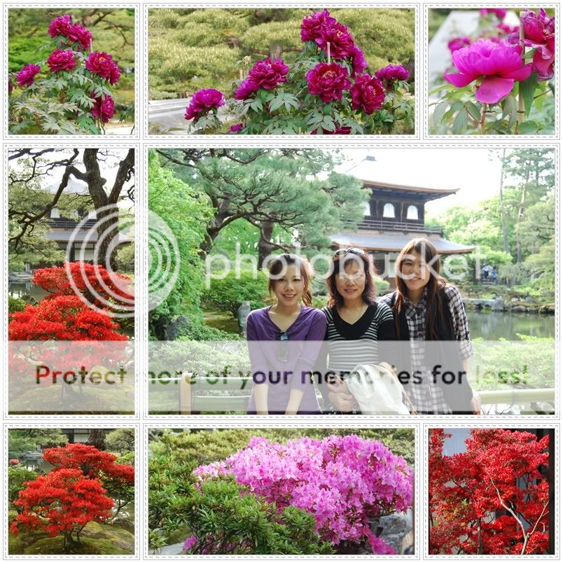 Kyoto Japan