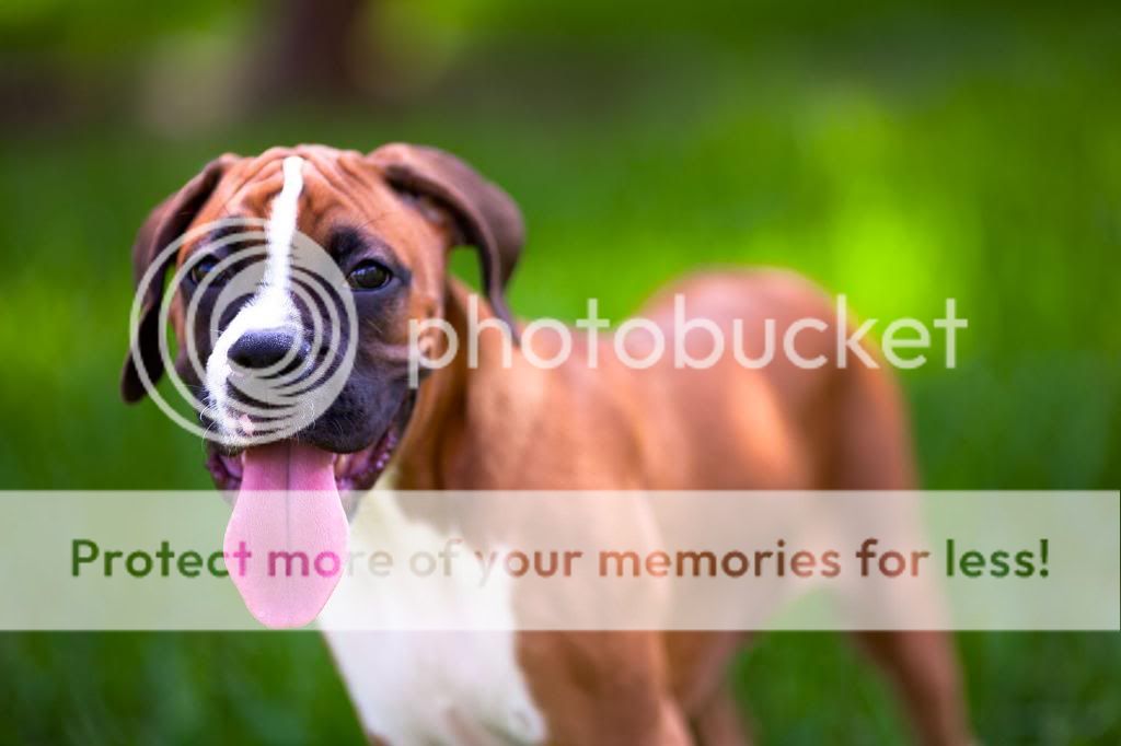 IMAGE: http://i822.photobucket.com/albums/zz144/MinGrey02Stg2/IMG_7877.jpg