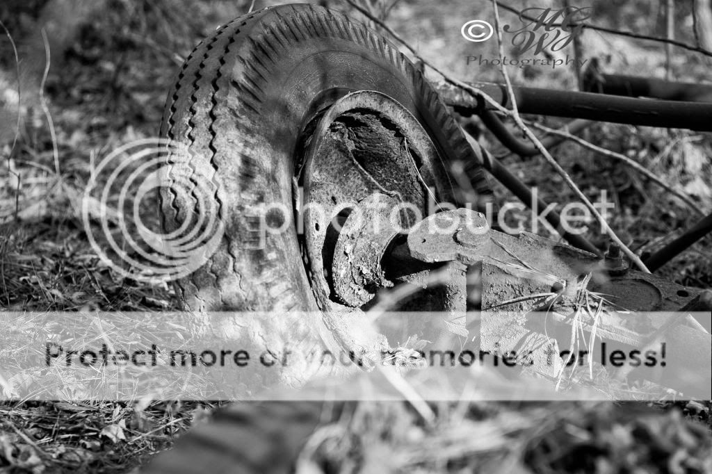 IMAGE: http://i822.photobucket.com/albums/zz144/slw06071106/WeatheredTread-3copy_zps2c7d67c1.jpg