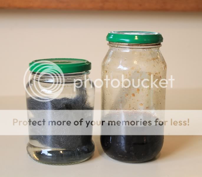 Home Made Leather Dye (Vinegaroon)