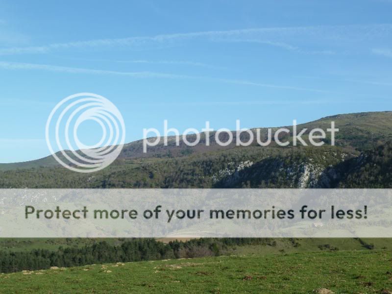 Photo Sharing and otobucVideo Hosting at Phket