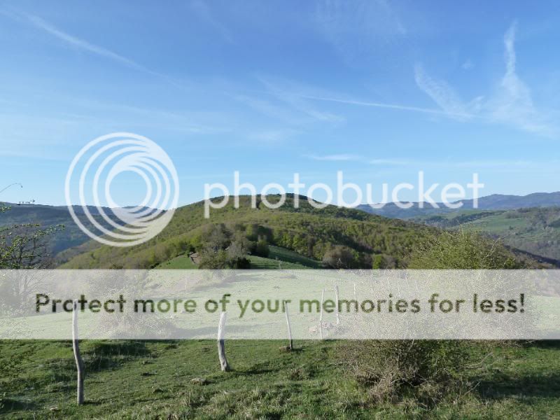 Photo Sharing and otobucVideo Hosting at Phket