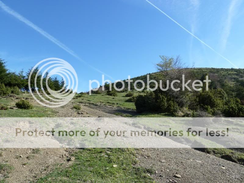 Photo Sharing and otobucVideo Hosting at Phket
