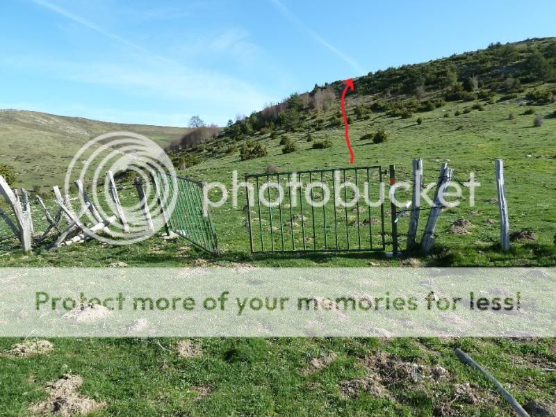 Photo Sharing and otobucVideo Hosting at Phket