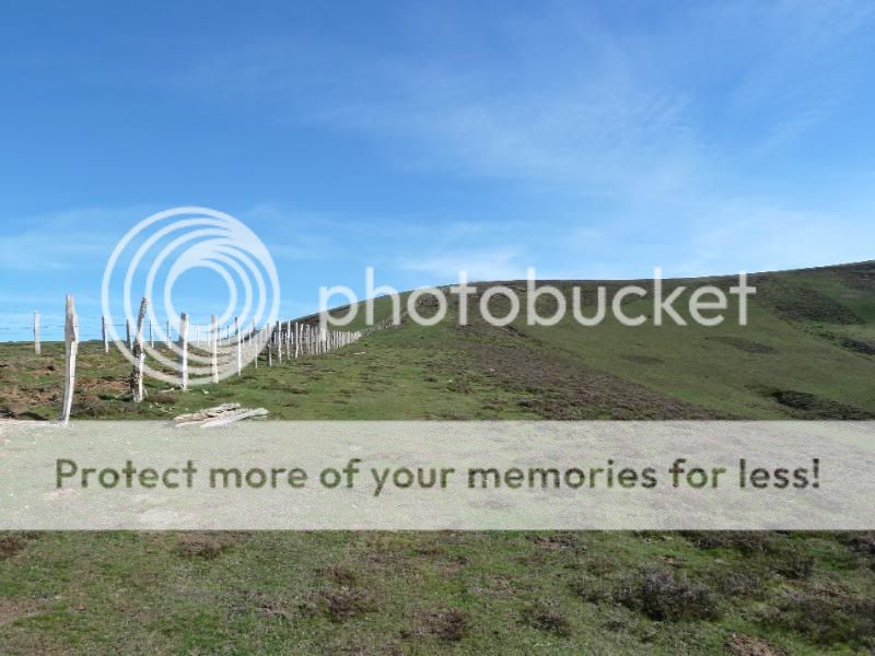 Photo Sharing and otobucVideo Hosting at Phket