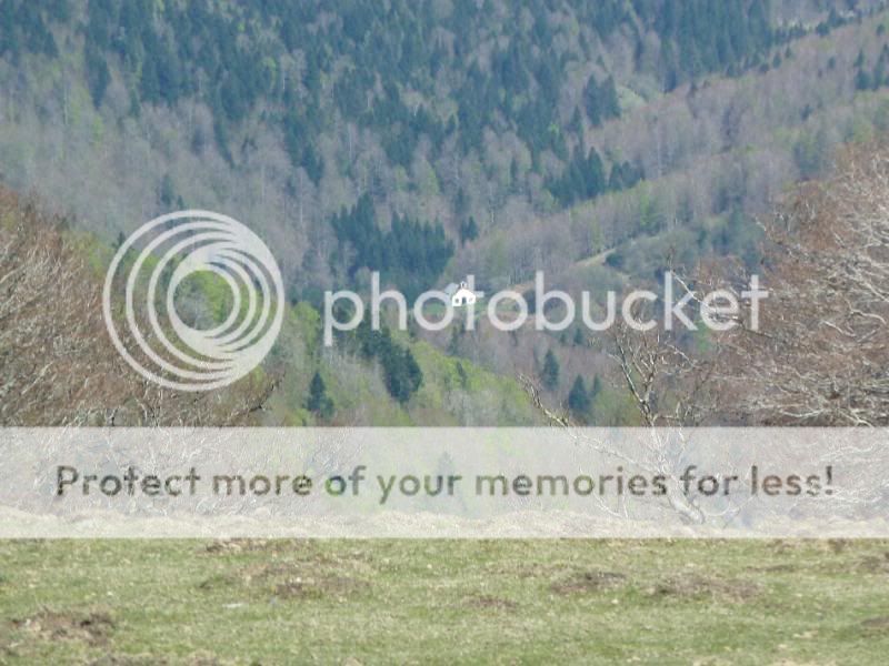 Photo Sharing and otobucVideo Hosting at Phket