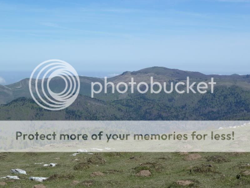 Photo Sharing and otobucVideo Hosting at Phket