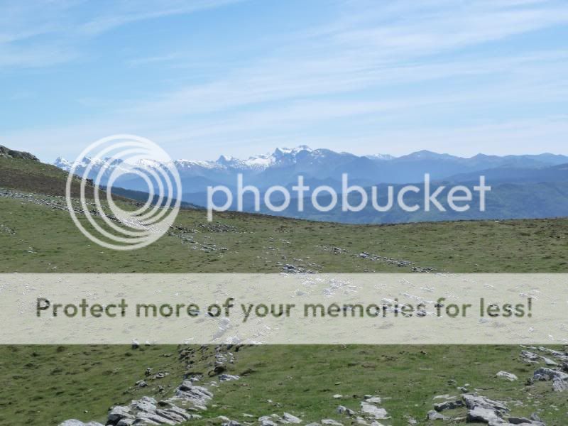 Photo Sharing and otobucVideo Hosting at Phket
