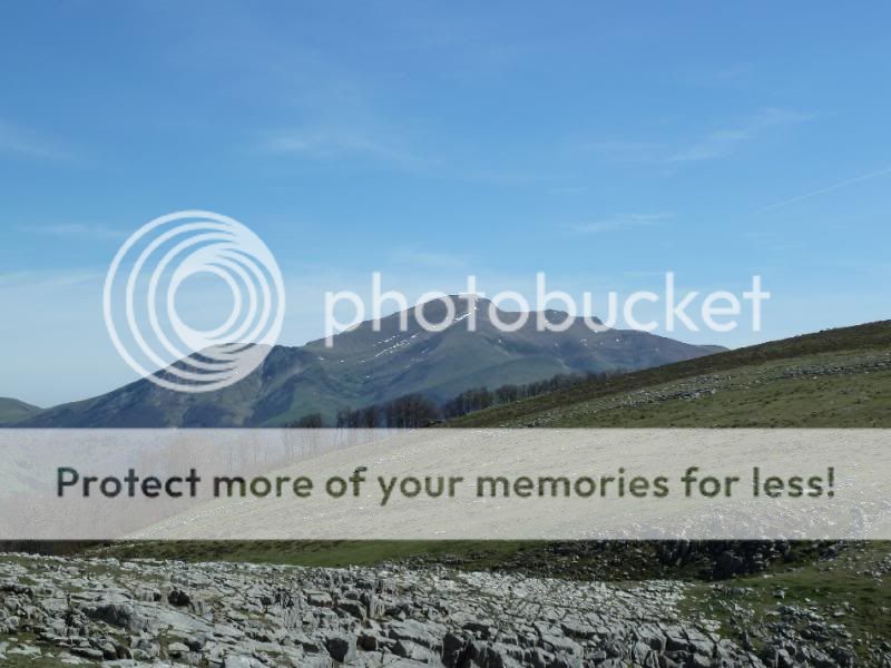 Photo Sharing and otobucVideo Hosting at Phket