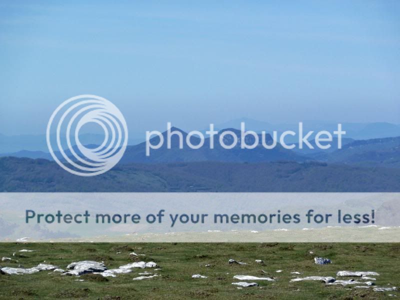 Photo Sharing and otobucVideo Hosting at Phket