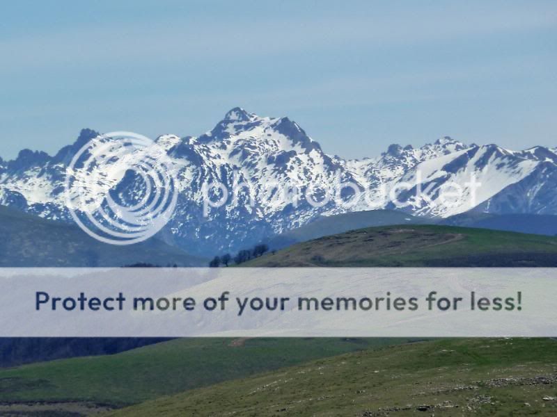 Photo Sharing and otobucVideo Hosting at Phket