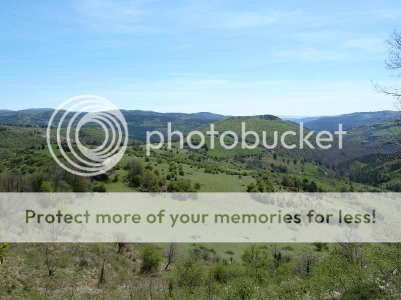 Photo Sharing and otobucVideo Hosting at Phket