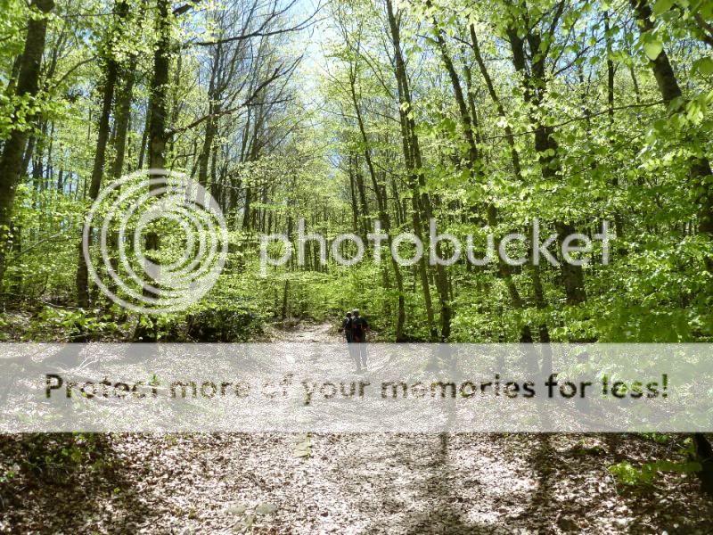Photo Sharing and otobucVideo Hosting at Phket