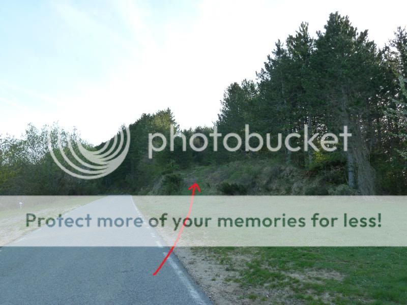 Photo Sharing and otobucVideo Hosting at Phket