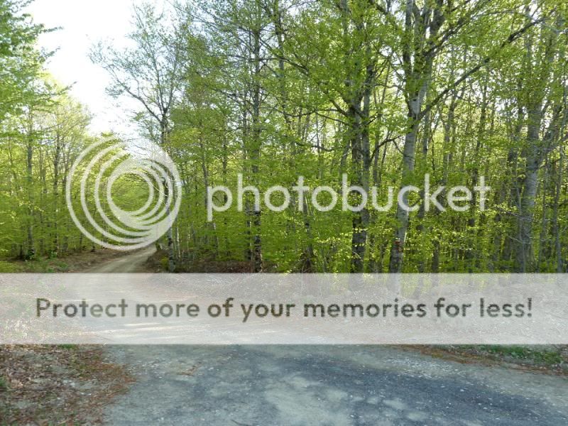 Photo Sharing and otobucVideo Hosting at Phket
