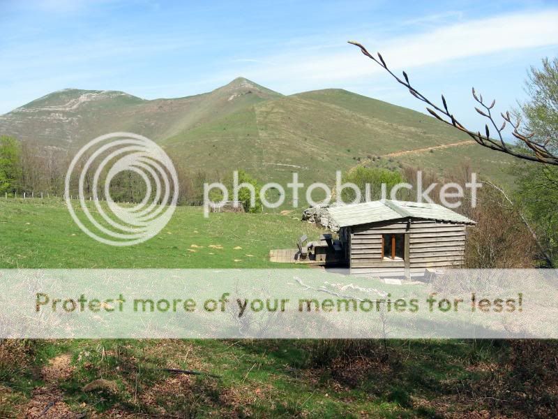 Photo Sharing and Video Hosting at Photobucket