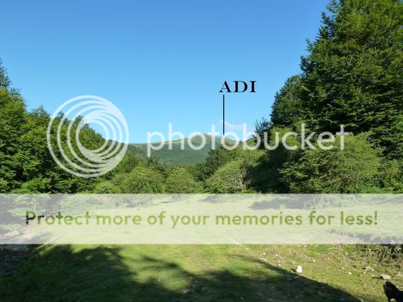 Photo Sharing and otobucVideo Hosting at Phket
