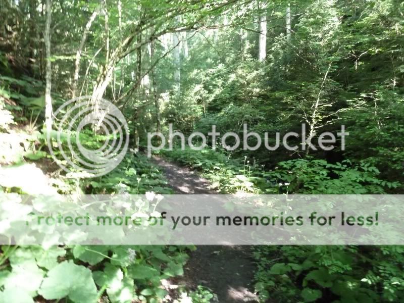 Photo Sharing and otobucVideo Hosting at Phket
