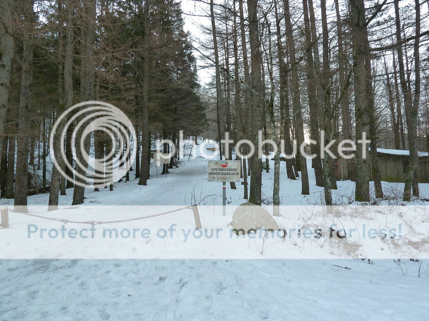 Photo Sharing and Video Hosting at Photobucket