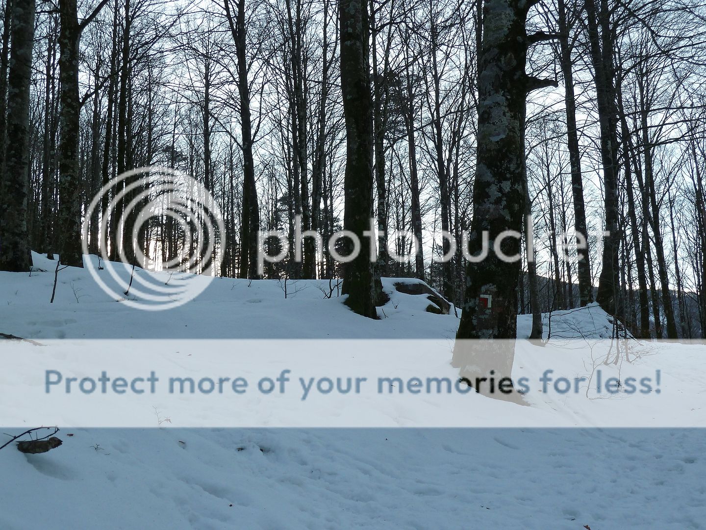 Photo Sharing and Video Hosting at Photobucket