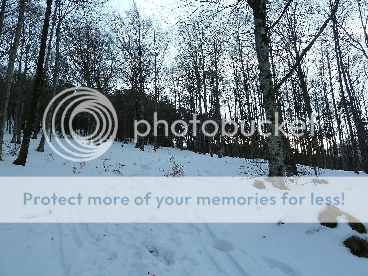 Photo Sharing and Video Hosting at Photobucket