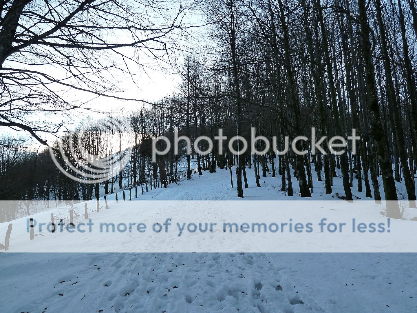 Photo Sharing and Video Hosting at Photobucket