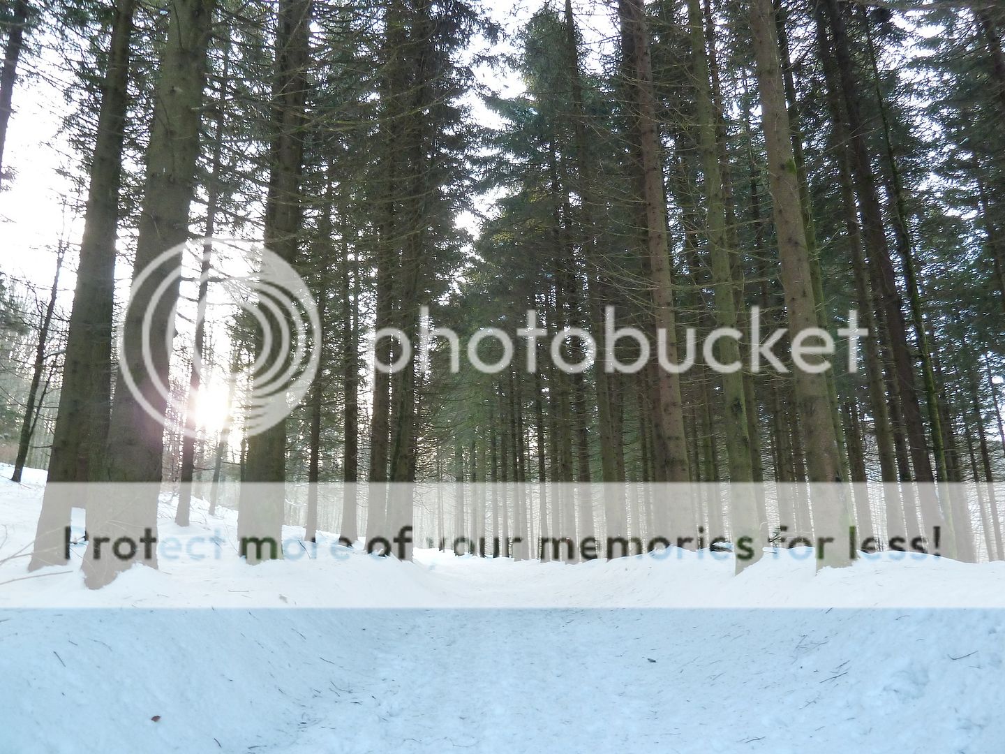 Photo Sharing and Video Hosting at Photobucket