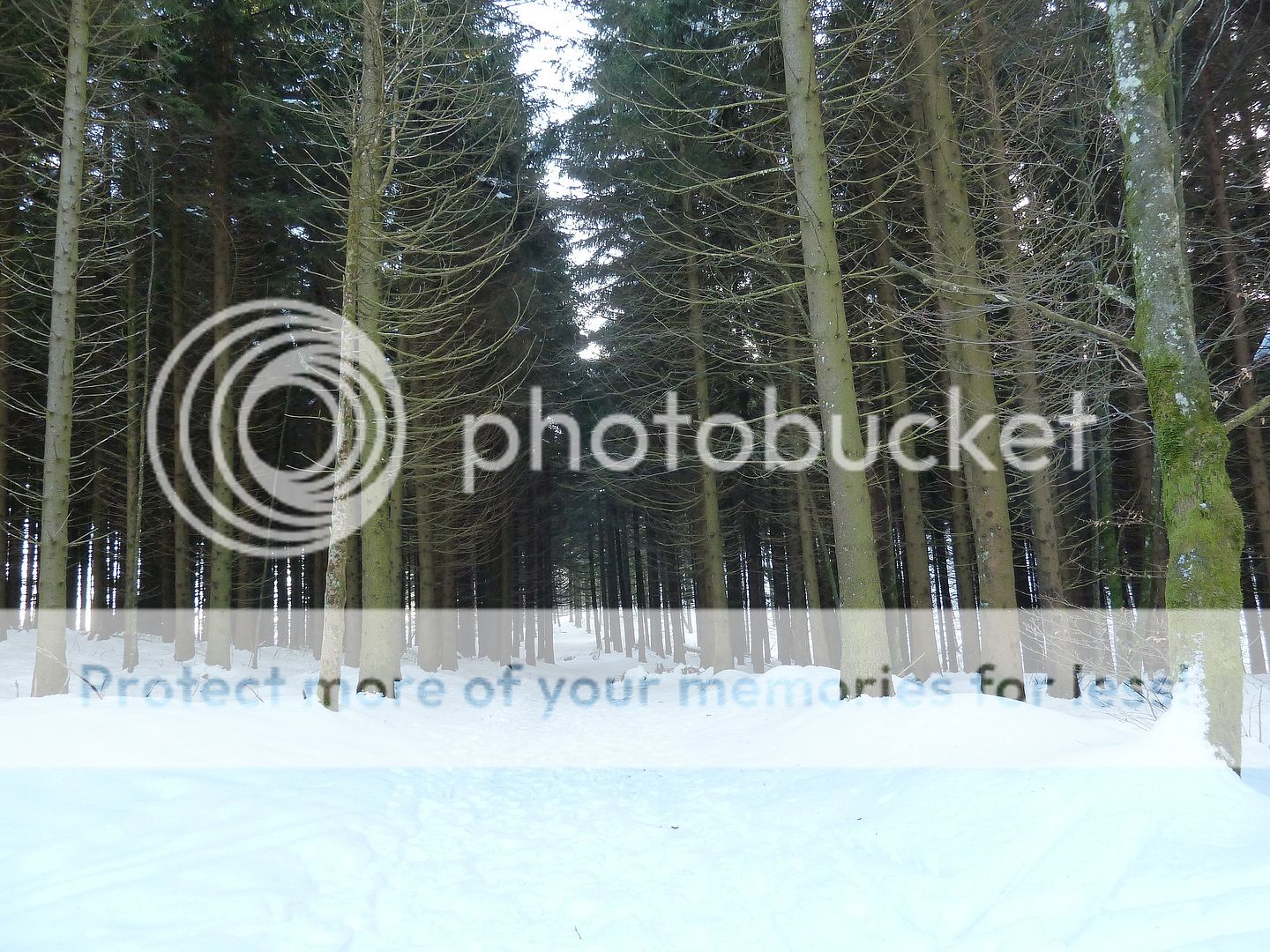 Photo Sharing and Video Hosting at Photobucket