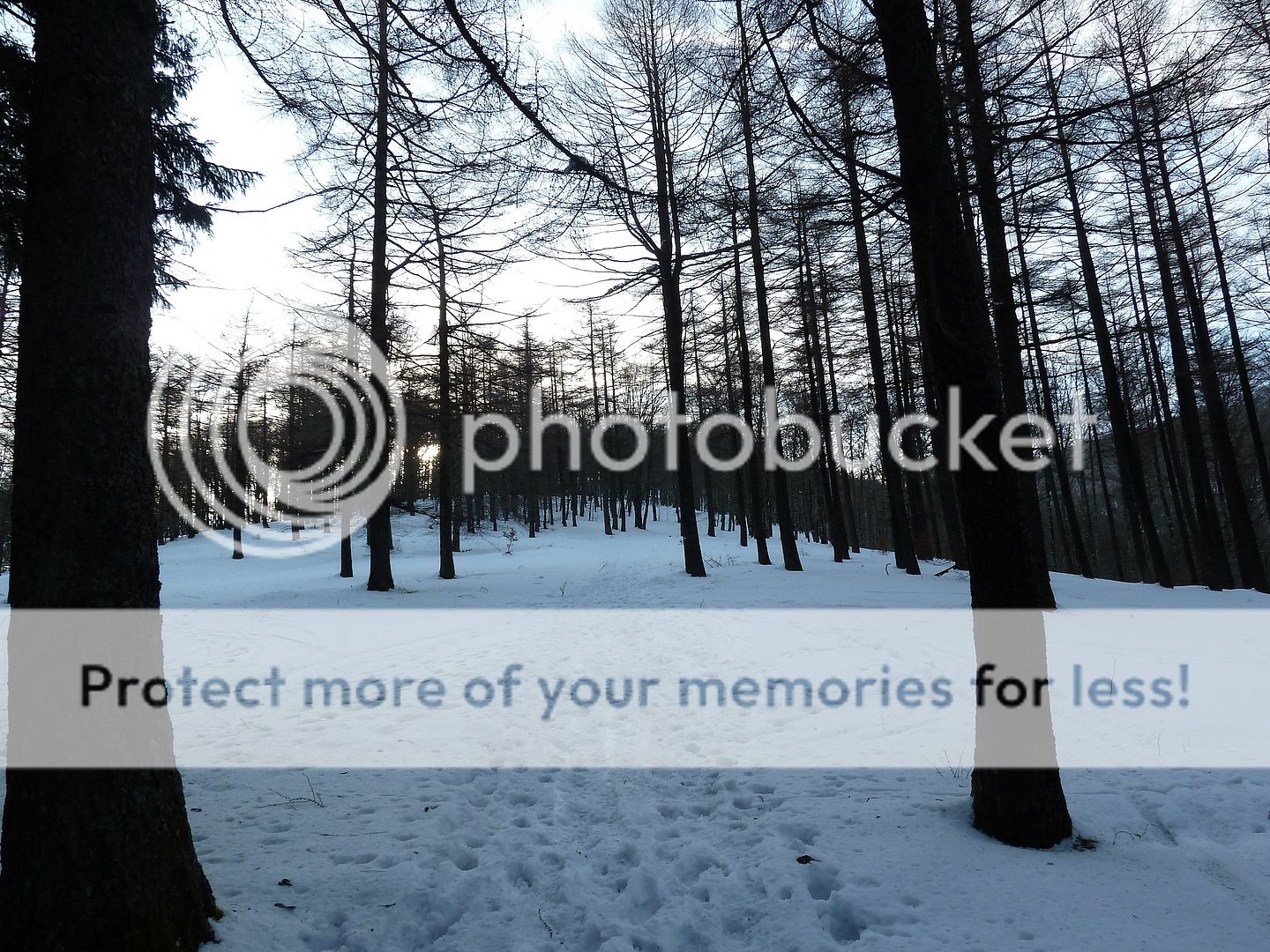 Photo Sharing and Video Hosting at Photobucket