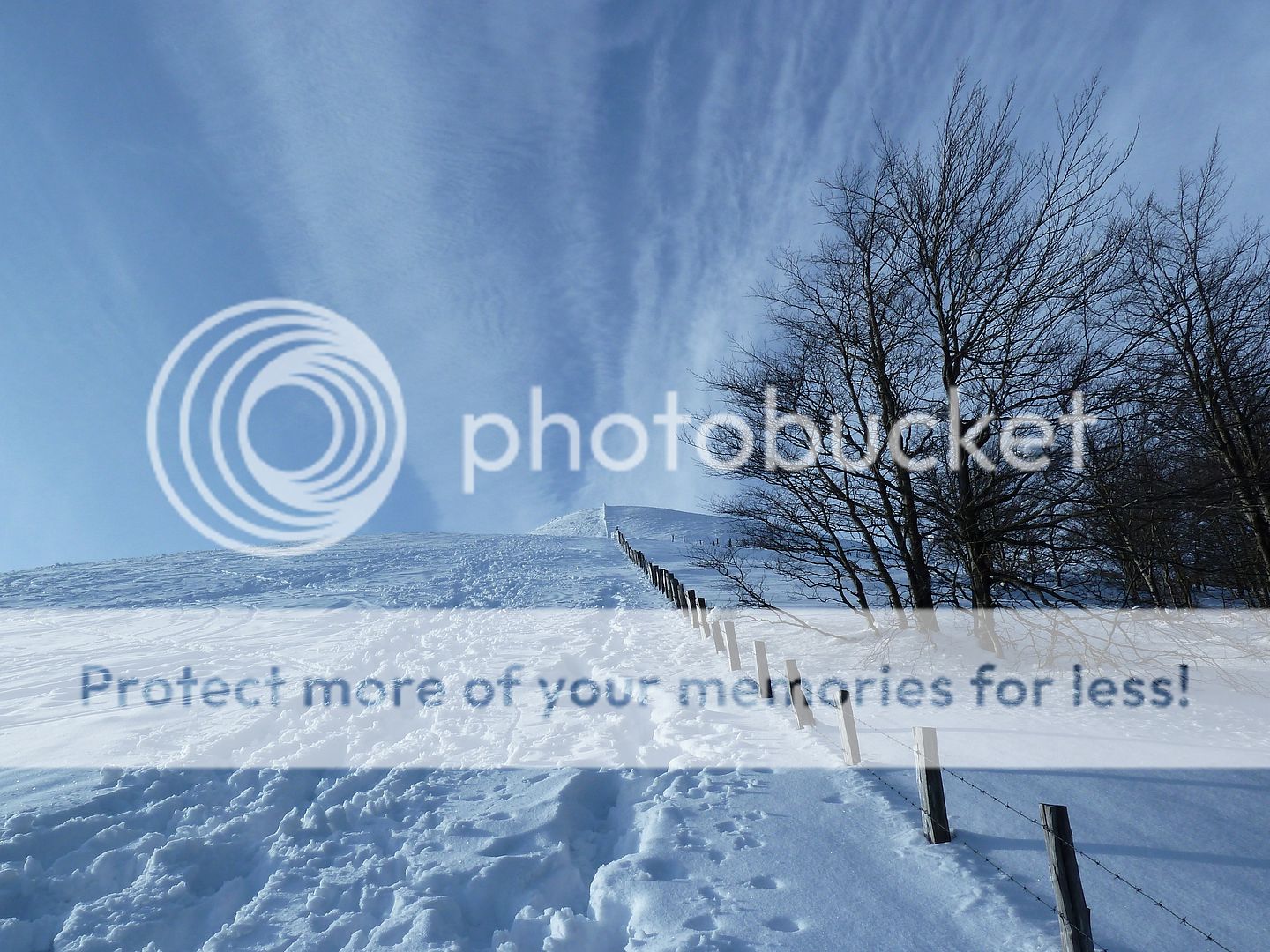 Photo Sharing and Video Hosting at Photobucket