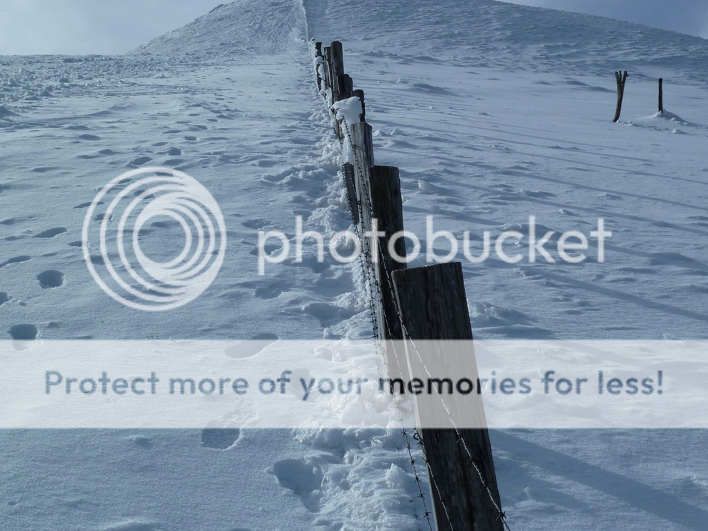 Photo Sharing and Video Hosting at Photobucket