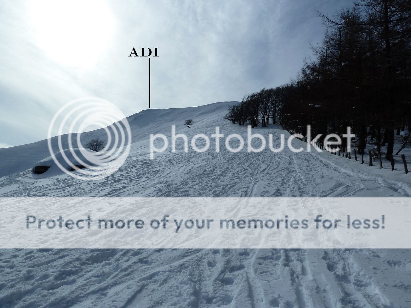 Photo Sharing and Video Hosting at Photobucket