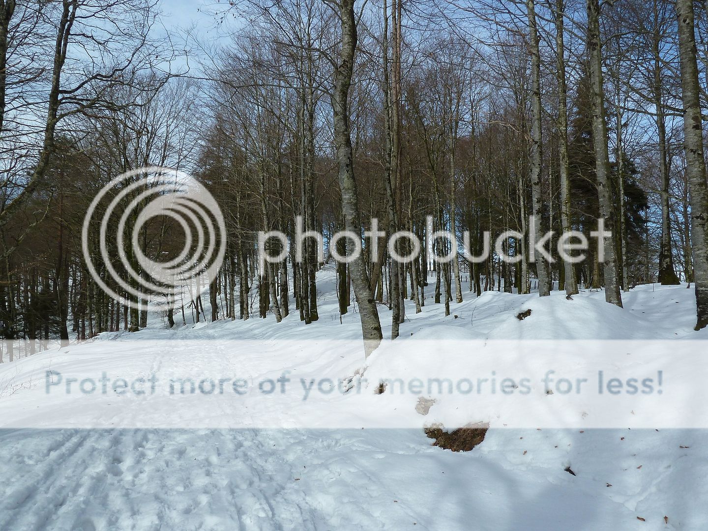 Photo Sharing and Video Hosting at Photobucket