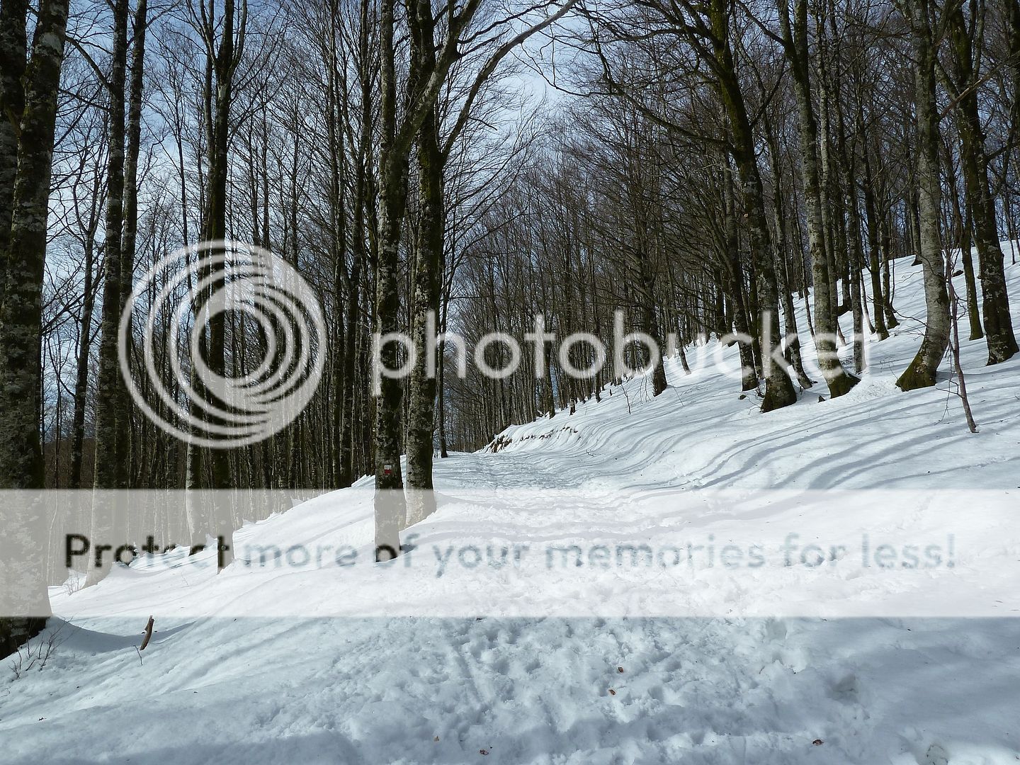 Photo Sharing and Video Hosting at Photobucket