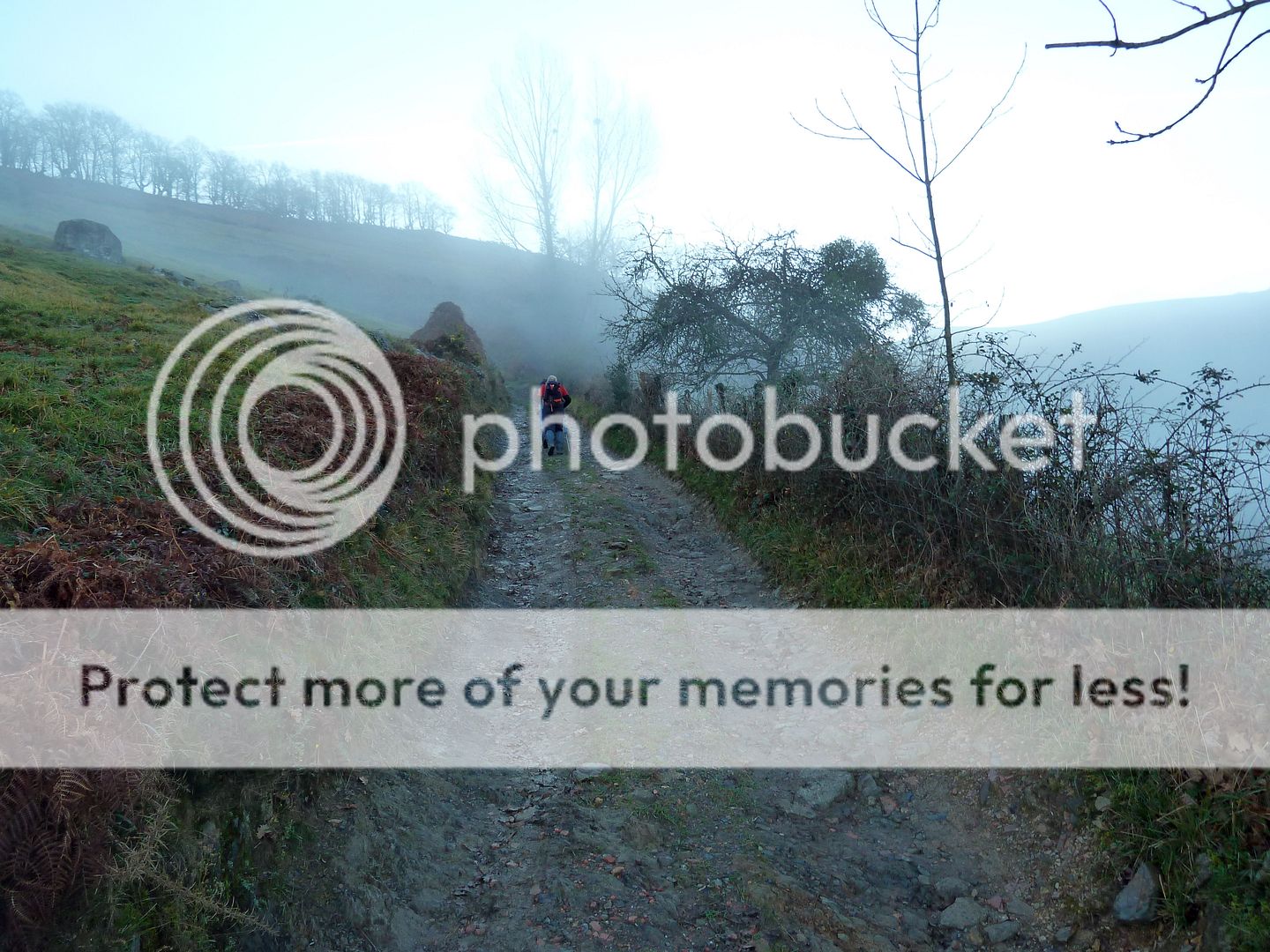 Photo Sharing and Video Hosting at Photobucket