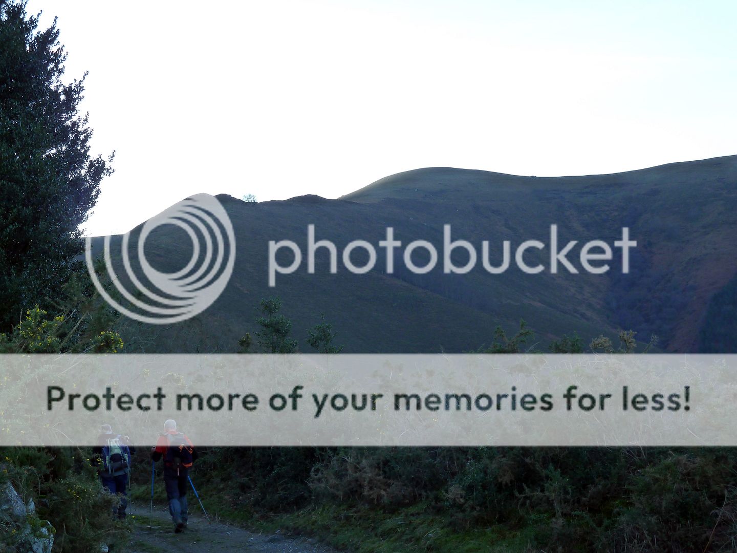Photo Sharing and Video Hosting at Photobucket