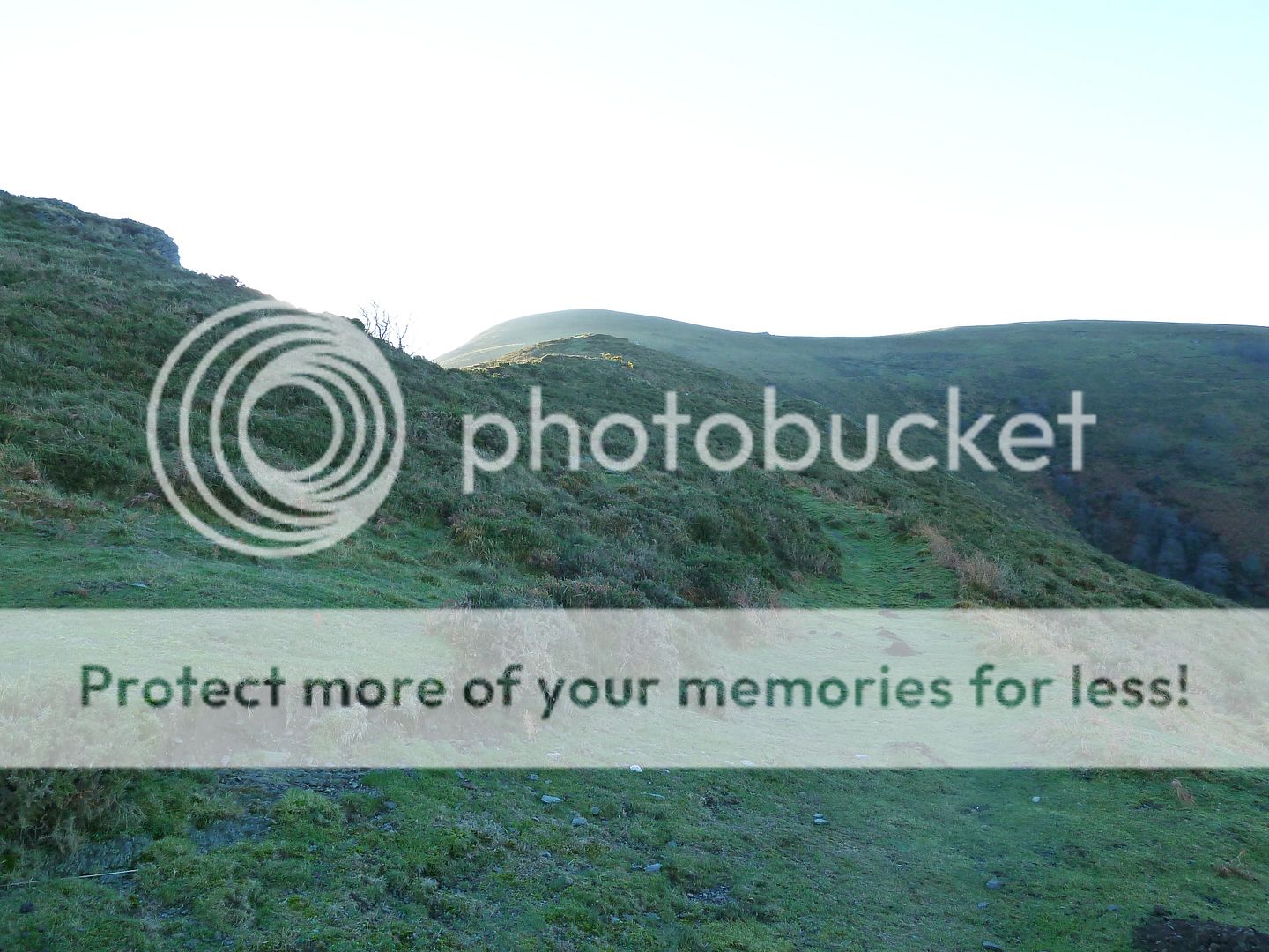 Photo Sharing and Video Hosting at Photobucket