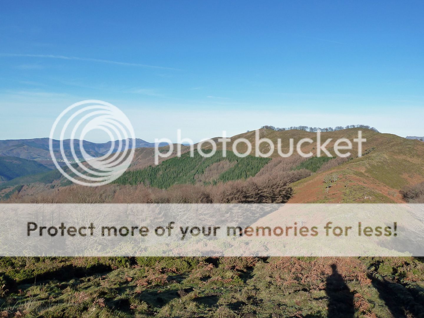 Photo Sharing and Video Hosting at Photobucket