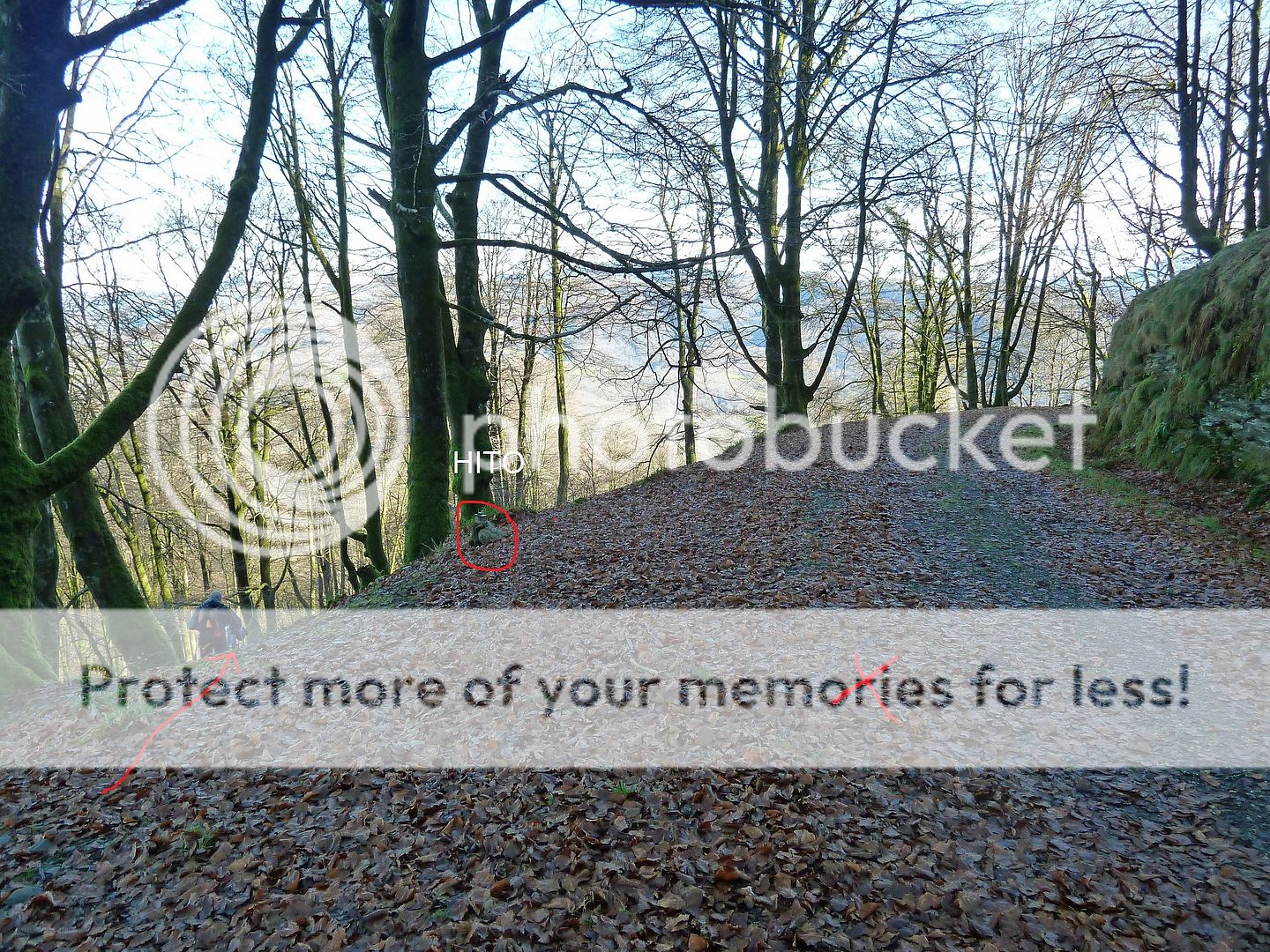 Photo Sharing and Video Hosting at Photobucket