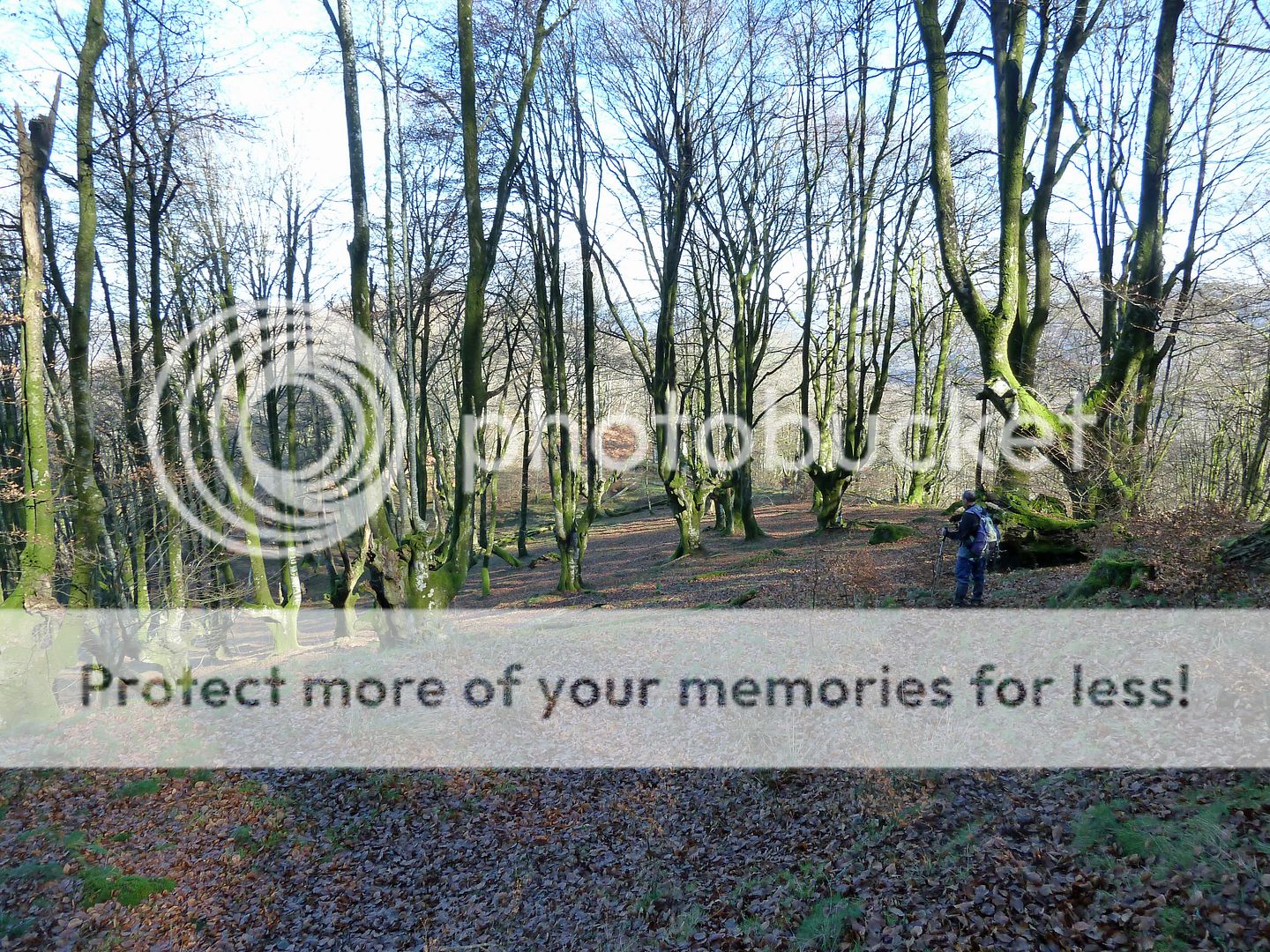 Photo Sharing and Video Hosting at Photobucket