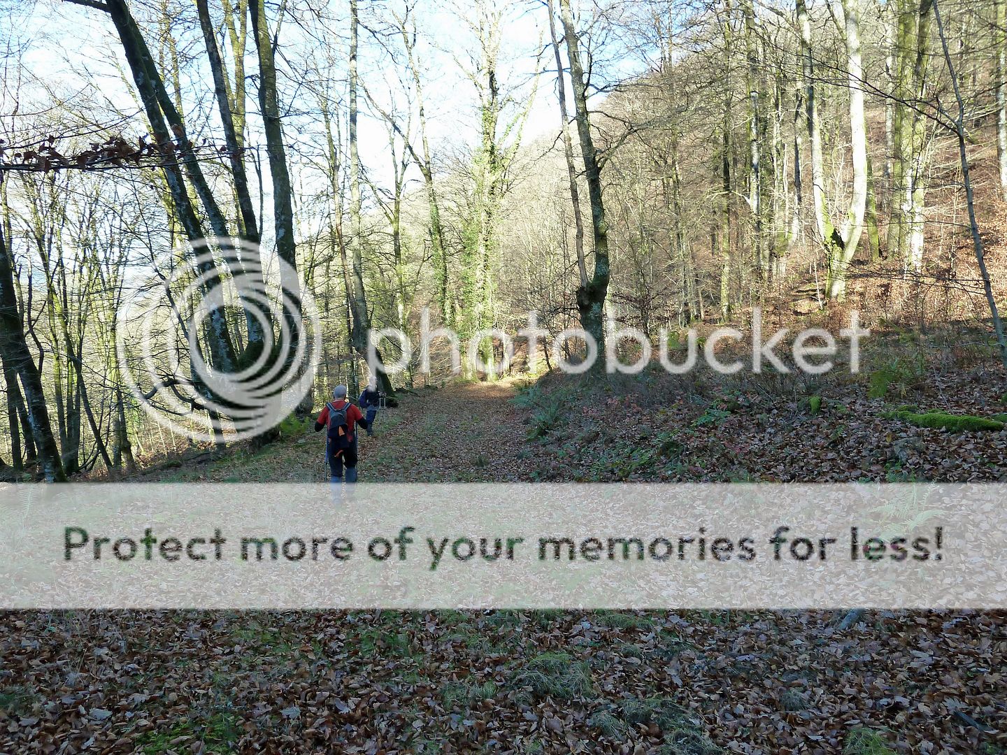 Photo Sharing and Video Hosting at Photobucket