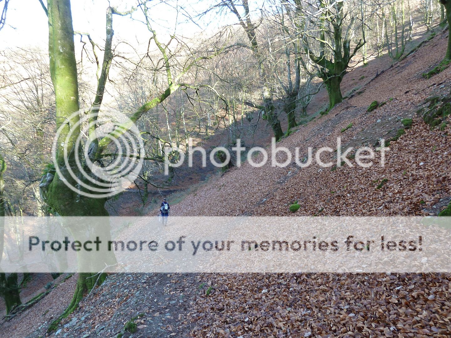 Photo Sharing and Video Hosting at Photobucket