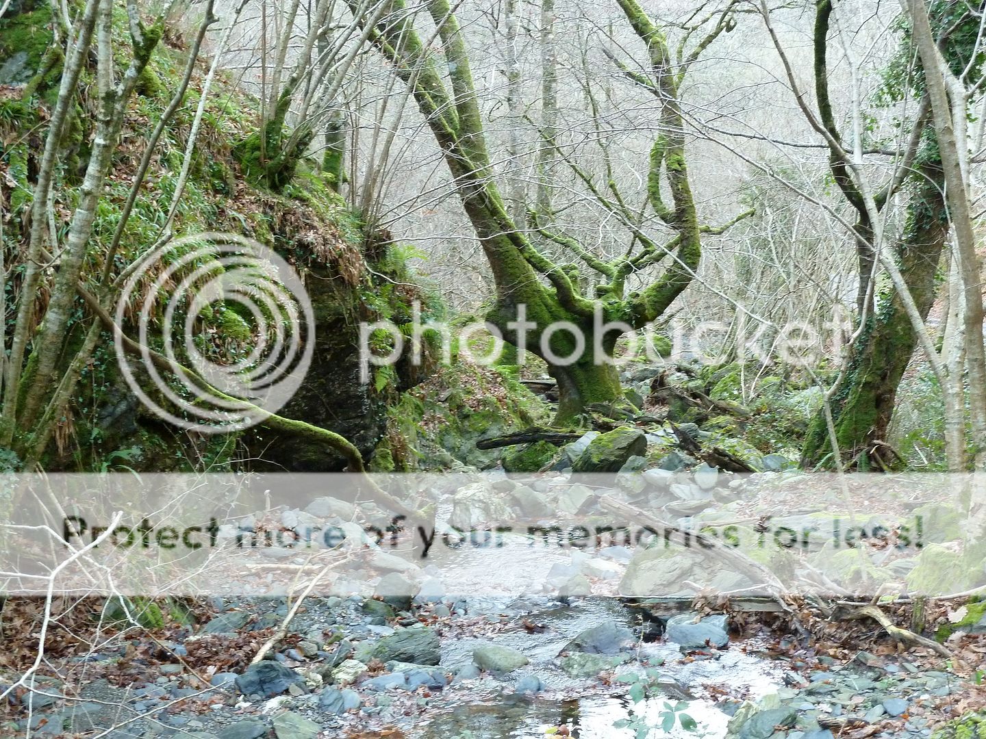 Photo Sharing and Video Hosting at Photobucket