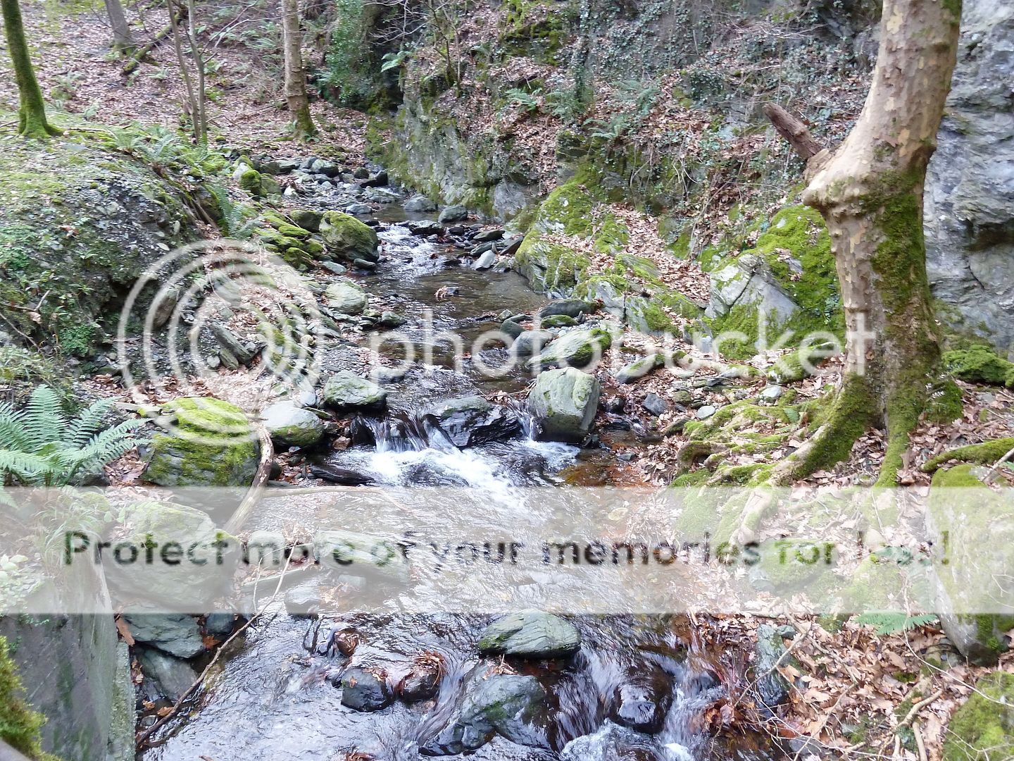 Photo Sharing and Video Hosting at Photobucket