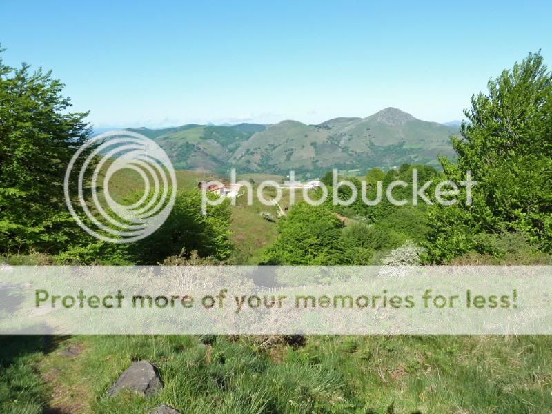 Photo Sharing and otobucVideo Hosting at Phket