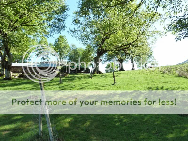Photo Sharing and otobucVideo Hosting at Phket