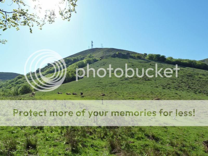 Photo Sharing and otobucVideo Hosting at Phket
