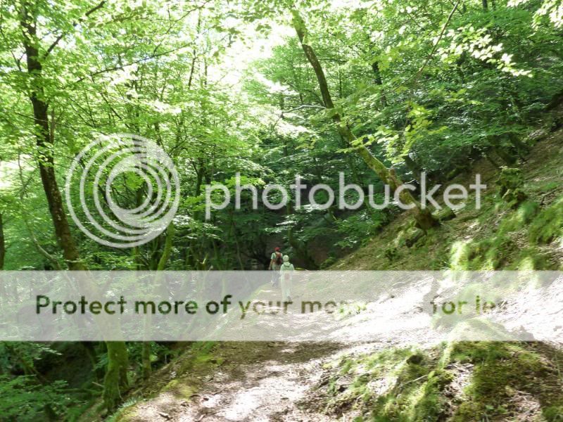 Photo Sharing and otobucVideo Hosting at Phket