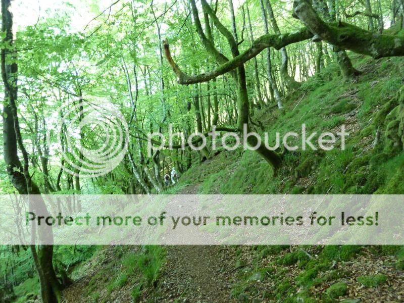 Photo Sharing and otobucVideo Hosting at Phket